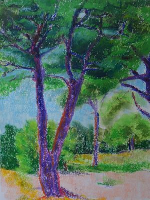 Laurent-Pascal-artiste-peintre-2017-Charente maritime Les pins1
